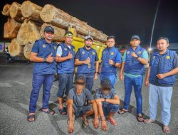 Polisi Amankan Dua Pemuda dan Satu Unit Dump Truk Pengangkut Kayu Ilegal.