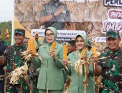 Ide Brilian Pangdam IM Panen Jagung Tumpang Sari “Program I’M Jagong”.