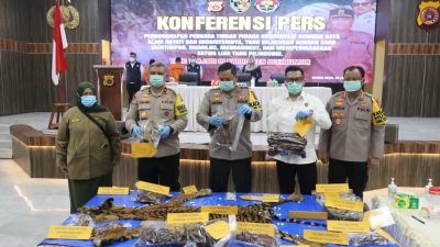 Polda Aceh Ungkap Kasus Perdagangan Satwa Harimau Sumatera.