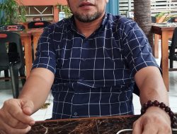 Amiruddin Tantang Aminullah di Pilkada 2024 Kota Banda Aceh.