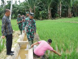 Irdam IM Tinjau Pembangunan Pompanisasi dan Saluran Di Aceh Utara.