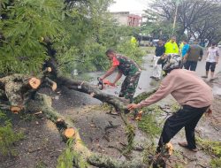 Pangdam IM Atasi Dampak Bencana Hujan Dan Angin Kencang di Banda Aceh dan Aceh Besar.