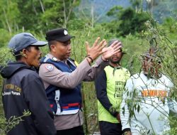 Polisi Inspiratif Mengubah Lahan Ganja jadi Lahan Palawija.