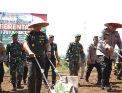 Wakili Pangdam, Kasdam IM hadiri penanaman 1 juta Hektar Jagung di Aceh Besar.