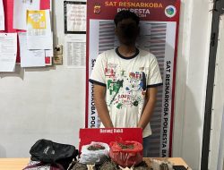 Satresnarkoba Polresta Banda Aceh Amankan 3,7 Kg Ganja dan Tersangka.