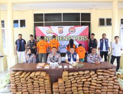 Polres Gayo Lues Berhasil Ungkap 12 Kasus Narkotika Selama Januari-Mei 2025.