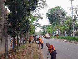 DLHK3 Banda Aceh Kembali Optimalisasi Taman Kota Kawasan Pango Raya.