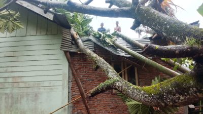 BPBD Aceh Besar Catat 17 Bangunan Rusak Akibat Angin Kencang.