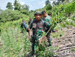 Pangdam IM Bersama BNN Tegaskan Komitmennya Berantas Narkoba di Aceh.