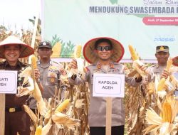 Kapolda Panen 24,5 Ton Jagung pada Kuartal III di Aceh Jaya.
