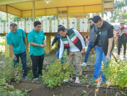 Wagub Kunjungi Lokasi Budidaya Nilam di Lhoong.