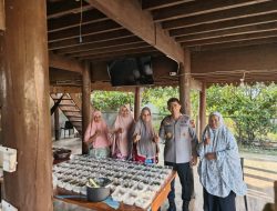 Kapolda Aceh Tinjau Program PMT Bagi Ibu Hamil dan Lansia di Gampong Tibang.