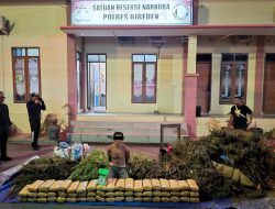 Polres Bireuen Berhasil Amankan Satu Pelaku dan BB Narkotika Jenis Ganja 154, 0016 Kg.