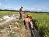 Kodam IM dan BWS Sumatera I Bangun Irigasi Tersier di Aceh Utara.