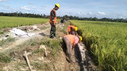 Kodam IM dan BWS Sumatera I Bangun Irigasi Tersier di Aceh Utara.