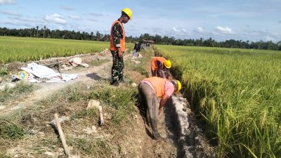 Kodam IM dan BWS Sumatera I Bangun Irigasi Tersier di Aceh Utara.