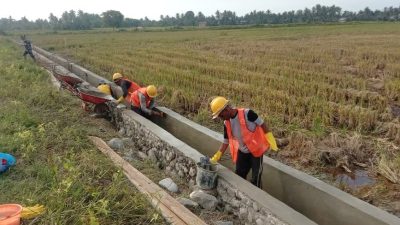 Capaian Program Pembangunan Irigasi Tersier Kodim 0103/Aceh Utara 42,41 persen.