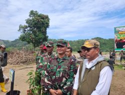 Kodim 0102 Pidie, Polres, Pemda & DLHK Aceh Tanam 1.000 Pohon di DAS Krueng Seunong Pijay. 