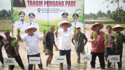 Sekda Aceh : Jaga Stabilitas Pangan Tetap Aman.