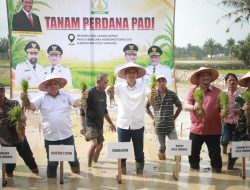 Sekda Aceh : Jaga Stabilitas Pangan Tetap Aman.