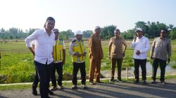 Sekda Aceh Tinjau Rehabilitasi Sawah di Aceh Timur.