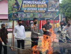 Polres Aceh Selatan Musnahkan Barang Bukti Narkotika Jenis Ganja,