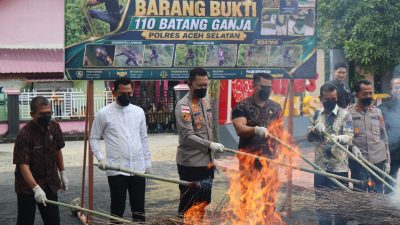 Polres Aceh Selatan Musnahkan Barang Bukti Narkotika Jenis Ganja,