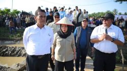 Pemerintah Aceh Jelaskan Posisi Bantuan Kementan untuk Pemulihan Sawah dan Kebun. 