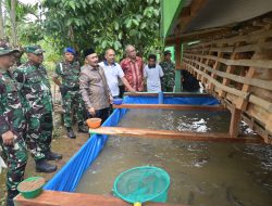 Danrem 011/Lilawangsa Tinjau Sasaran Tambahan TMMD ke-129, Kolam Lele dan Kandang Ayam Petelur. 
