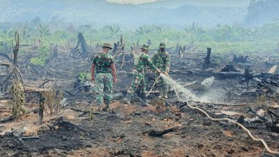 TNI dan BPBD Lakukan Penanganan Karhutla Lahan Gambut di Aceh Selatan. 